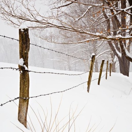 461d2b6d8187a168d05fd7bb7a75327f